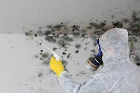 Mold Removal for HVAC Installations in Buda, TX